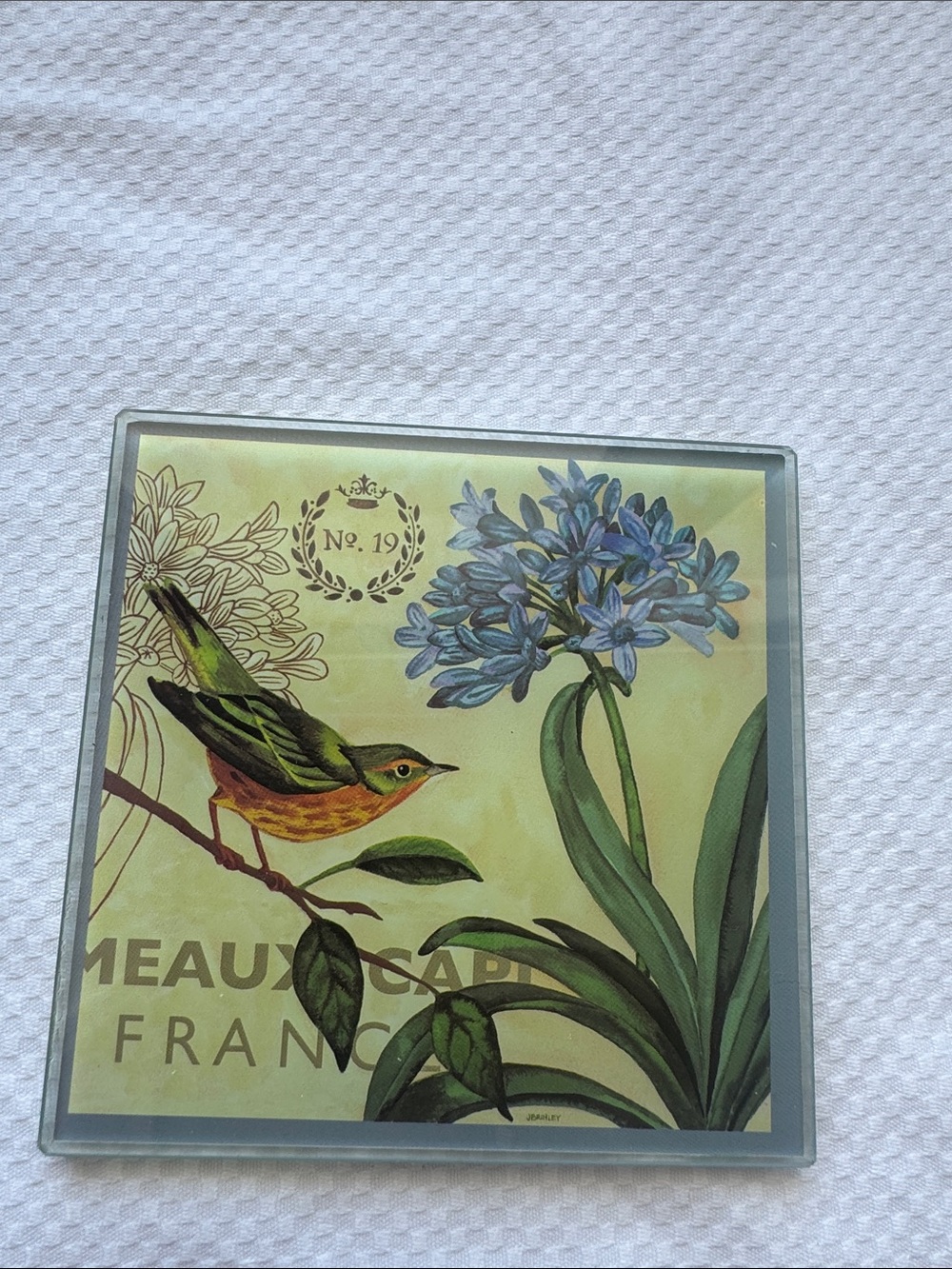Set of 4 French themed glass bird coasters from Pier 1. - Picture 5 of 8